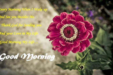 Best Colorful Combo Good Morning Wishes Images   Festival Chaska