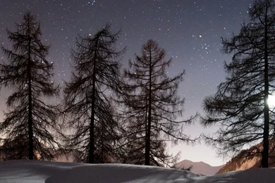 Download Winter Iphone Wallpapers High Definition