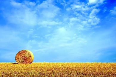1920x1080 Clear Sky Field & Hay Bale Desktop PC And Mac Wallpapers