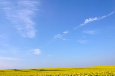 Studer Education – Try This Tip: Be Humble, Clear, And Brave.