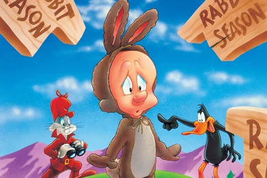 ELMER FUDD Looney Tunes Daffy F Wallpapers