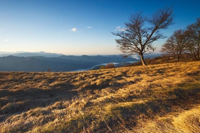 Share Your Wallpapers