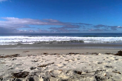 New San Diego Beach Wallpapers Free