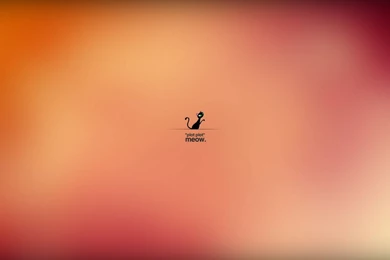 Cat Cartoon Wallpapers   1280x800   107328