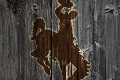 Iphone4 Wyoming Cowboys.jpg