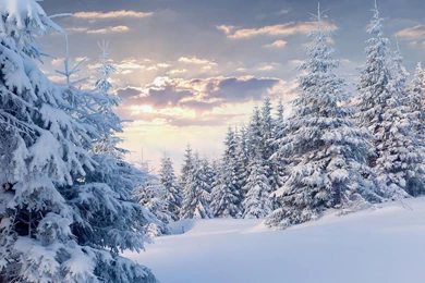 Make Snowflakes Live Wallpapers   Android Apps And Tests   AndroidPIT