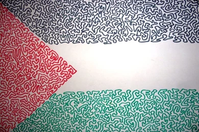 Palestinian Flag By Suleiwoman On DeviantArt