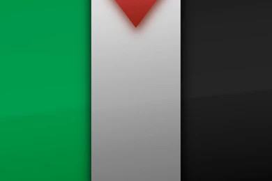 Palestinian Flag Wallpapers For 750x1334