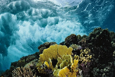 Photography   Desktop Wallpapers   National Geographic Magazine