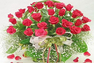 Beautiful Flowers Wallpapers Collection (42+)