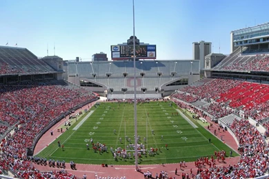 Buckeyes   DeviantArt