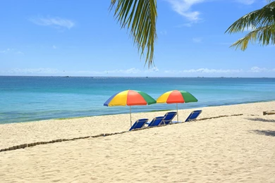 Tropical Beach Wallpapers