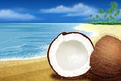 Coconut Beach Free Windows 7 Backgrounds Desktop Wallpapers ...