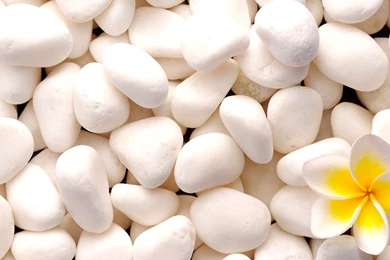 Download   HUAWEI       B199   Stock Wallpapers