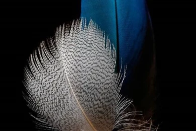 HD And Stock Wallpapers , Best Quality   Pg. 164