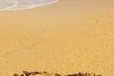 Wondershare] 32 Love Wallpapers For iPhone 6/6S