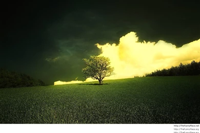 Wallpapers – TheFunnyPlace