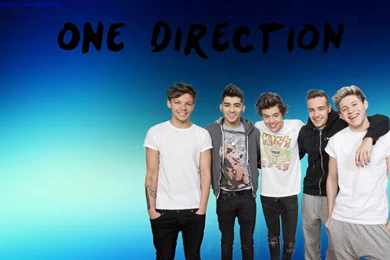 Wallpapers One Direction (1) : Desktop And Mobile Wallpapers : Wallippo