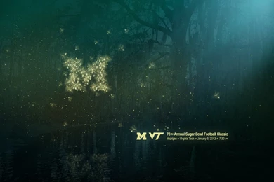 Bayou Blue – 2012 Sugar Bowl – Michigan Football Fan Art