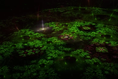 Tiny Shiny Garden   HiRes HDR Render By Thargor6 On DeviantArt