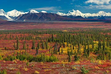 Super HD Wallpaper: The Alaska Range