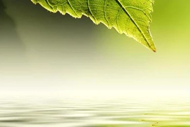 Wallpapers HTC HD   Wallpapers Zone