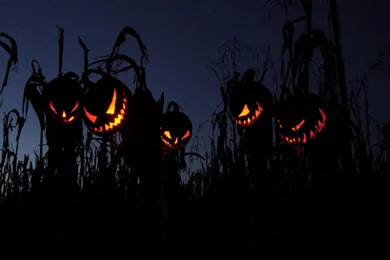 Evil Scarecrows   (