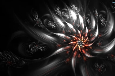 Flower Abstract Wallpapers   Wallpapers HD Wide