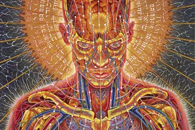 Alex Grey