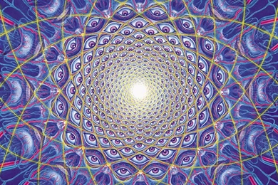 Alex Grey On Pinterest