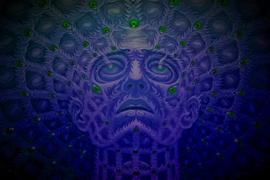 Tool Grey Psychedelic Alexgrey Alex