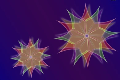 Colorful Abstract Flower Wallpapers