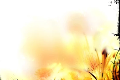 My Free Wallpapers   Abstract Wallpapers : Sublimate Flower