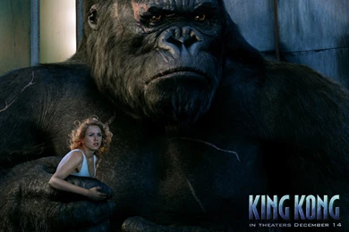 Naomi Watts   Naomi Watts In King Kong Wallpapers 21 1024x768