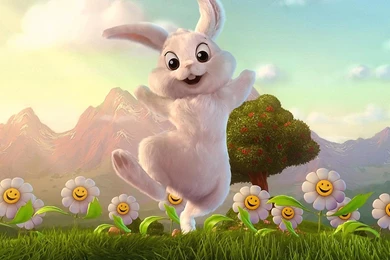 2 Rabbit HD Wallpapers