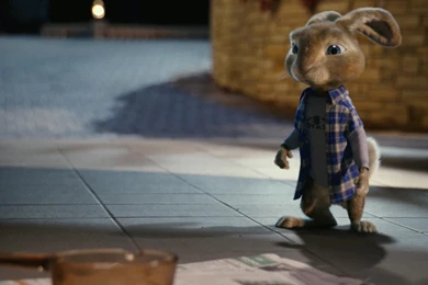 Cartoon, Wallpaper, Rabbit (