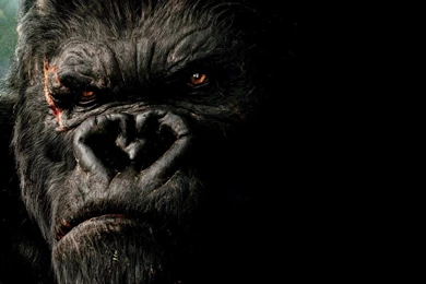 King Kong