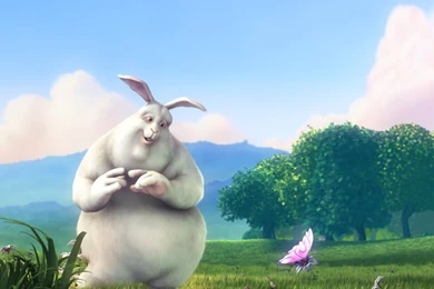 Rabbit Cartoon Character   HD Desktop Wallpapers   1280x1024 ...