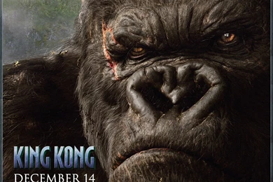 King Kong Wallpapers   2