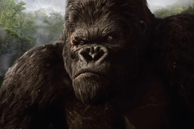 King Kong