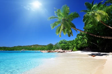 Download Wallpapers 2560x1600 Beach, Sand, Palm Trees, Tropical ...