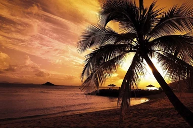 Sandy Beach Wallpapers HD   Android Apps On Google Play