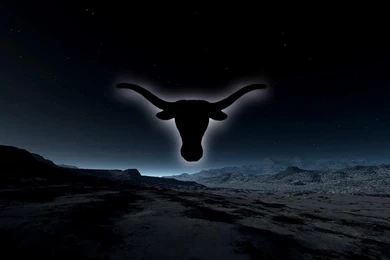 Longhorn Wallpapers Wallpapers Cave