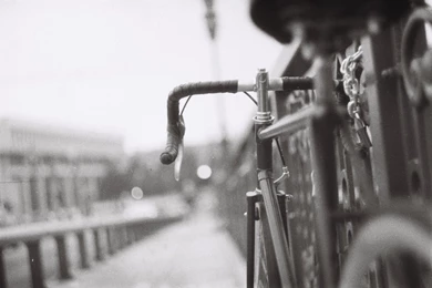 Fixie   DeviantArt