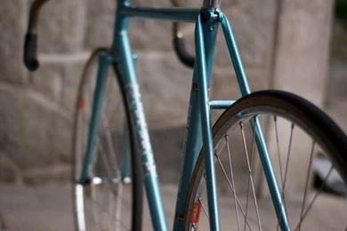Elegant Fixie