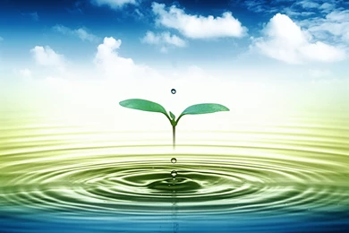 Water Drop Wallpapers