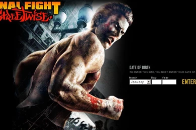 The Elderly Gamer: Final Fight Streetwise (xbox, Ps2) Website ...