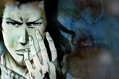 Stark <3   Stark The Primera Espada Wallpapers (25527537)   Fanpop