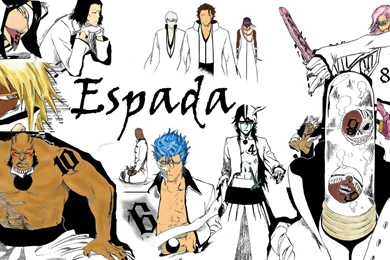 Download Bleach Espada Wallpapers 1131x707
