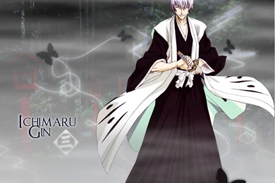 Wallpapers Category Beauty: Bleach: Espada   Images Actress